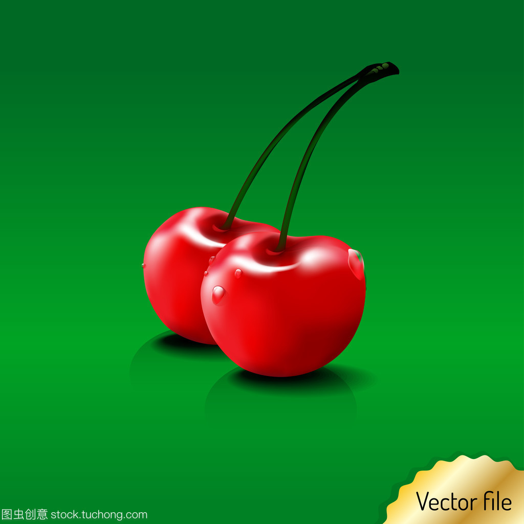 新鲜水果与蔬菜 从果树到餐桌的自然馈赠