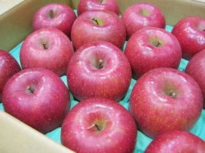 日本水果蔬菜市场解析 从代购、价格到二手商品的购买指南