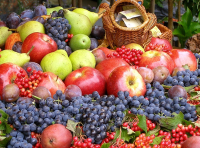 第16周国内外农产品市场动态 水果与蔬菜价格走势分析