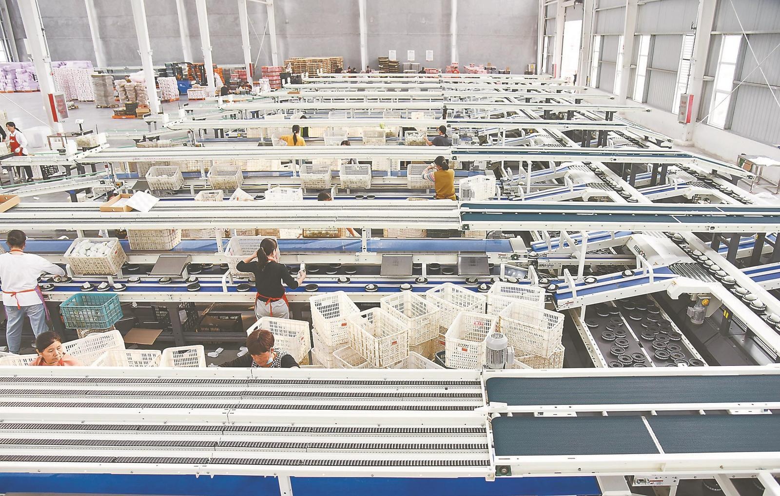 人工智能助力企业蔬菜生产 技术革新与未来前景