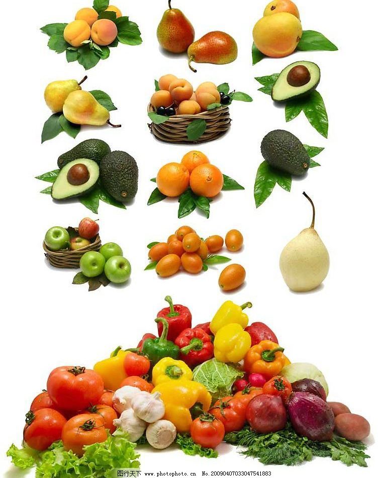 果树之美 高清图片下的自然馈赠