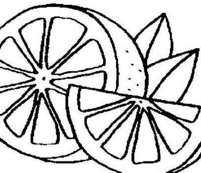 水果橘子简笔画与果树描绘指南